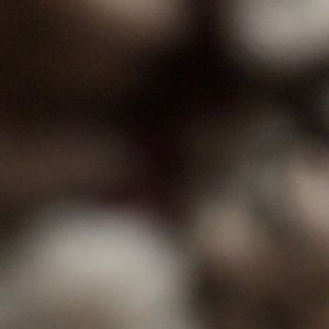 Meet your Posher, Tristan